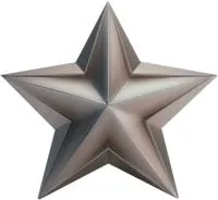 Звезда из нержавеющей стали декор на стелу в Жердевке (518508)